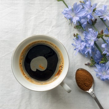 Цикорий &- здоровая альтернатива кофе или бесполезный напиток?