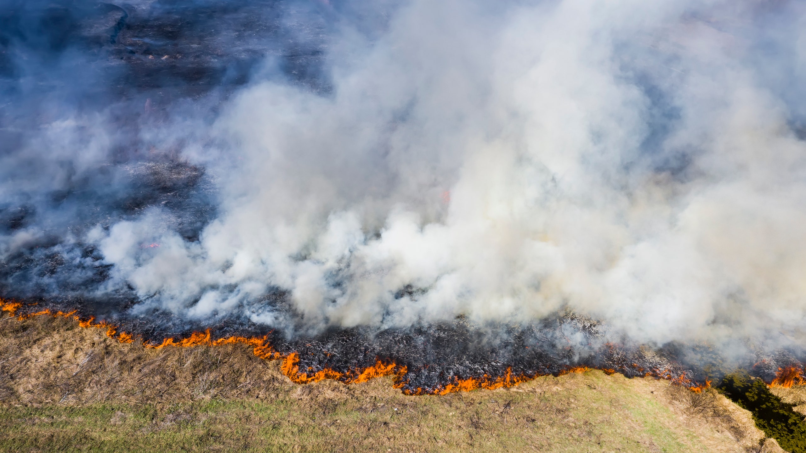 В России продолжают бушевать лесные пожары сгорают целые деревни а дым уже достиг Северного полюса