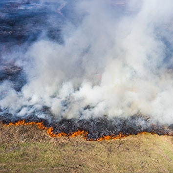 В России продолжают бушевать лесные пожары: сгорают целые деревни, а дым уже достиг Северного полюса