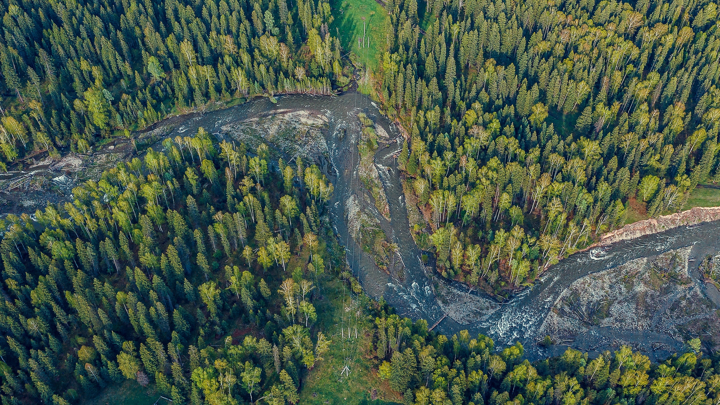 WWF почти 1500 километров сибирских рек загрязнено. Чем это опасно