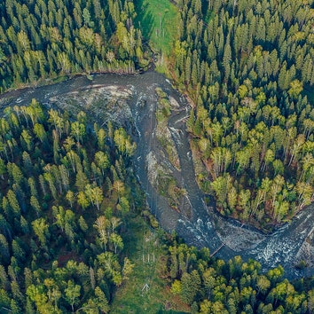 WWF: почти 1500 километров сибирских рек загрязнено. Чем это опасно?
