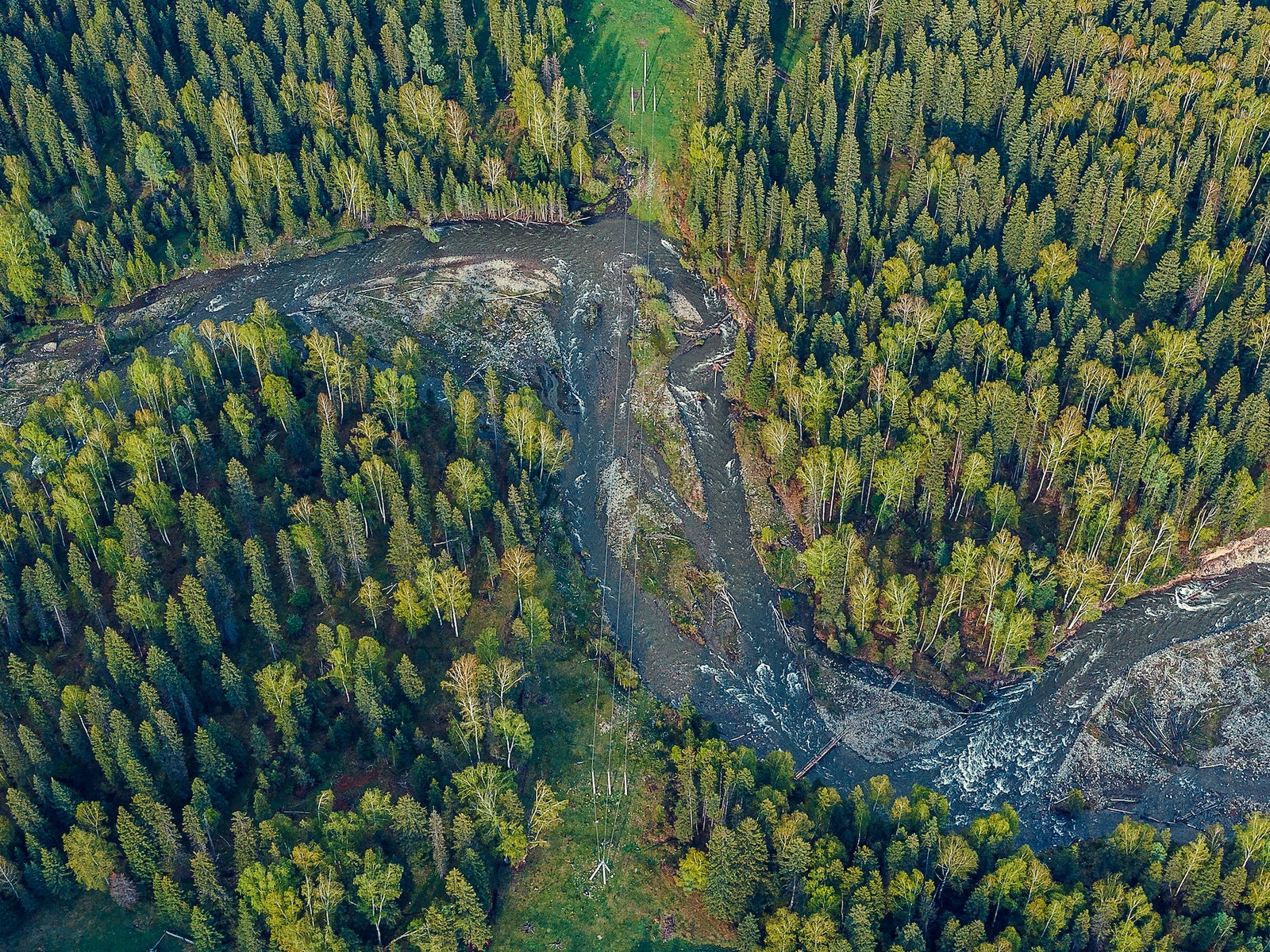 WWF: почти 1500 километров сибирских рек загрязнено. Чем это опасно?