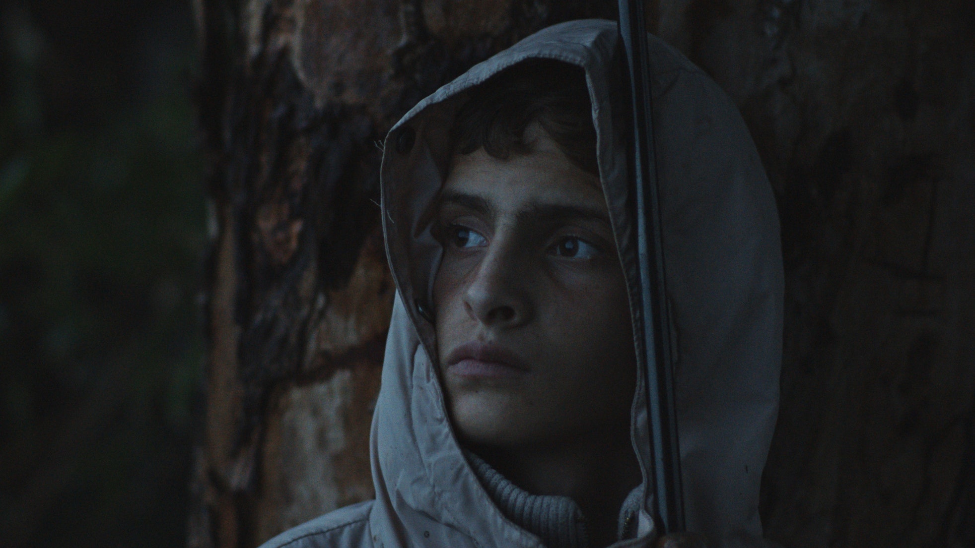 Палестинский Вуди Аллен и детство в Марокко что посмотреть на фестивале Qatar Film Days в СанктПетербурге