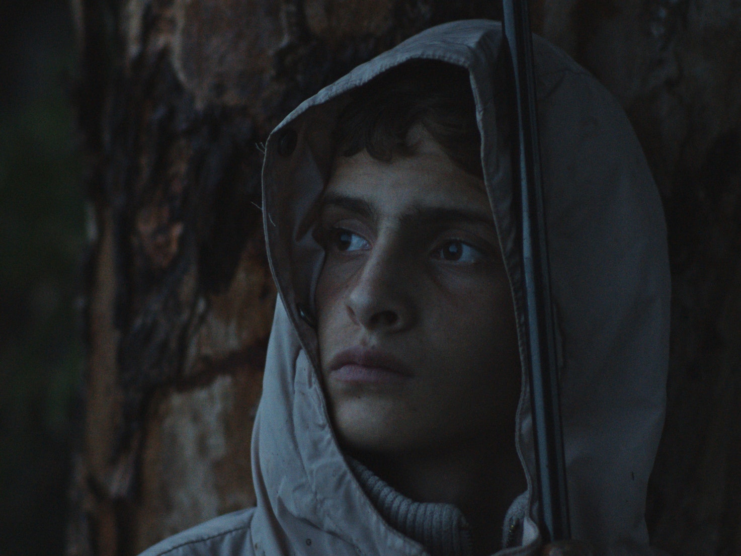 Палестинский Вуди Аллен и детство в Марокко: что посмотреть на фестивале Qatar Film Days в Санкт-Петербурге