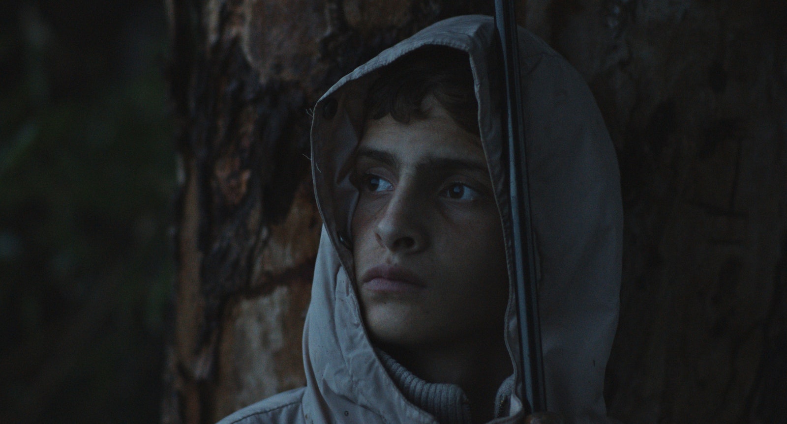 Палестинский Вуди Аллен и детство в Марокко что посмотреть на фестивале Qatar Film Days в СанктПетербурге