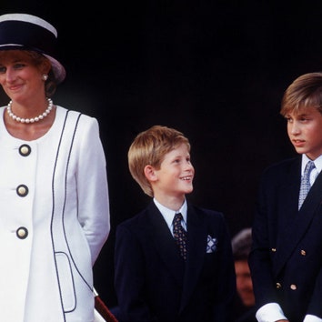 «Наша мать погибла из-за этого», &- принцы Уильям и Гарри обвинили BBC в причастности к смерти принцессы Дианы