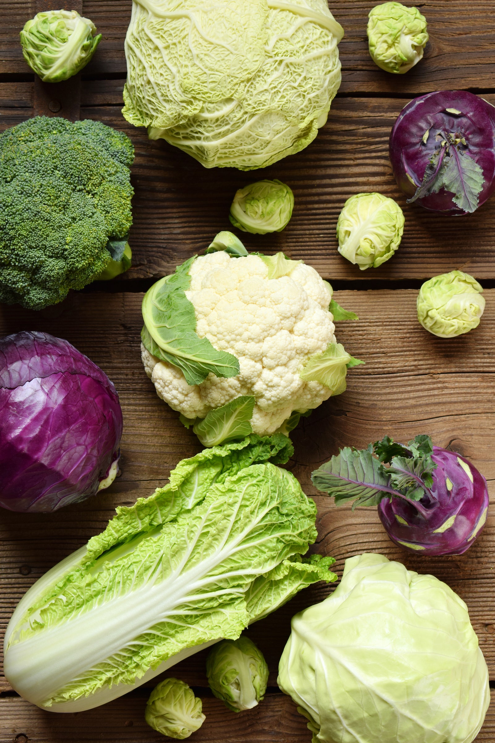 Не только салат «Весенний» какая бывает капуста и что из нее можно приготовить — рассказывает Марика Кравцова