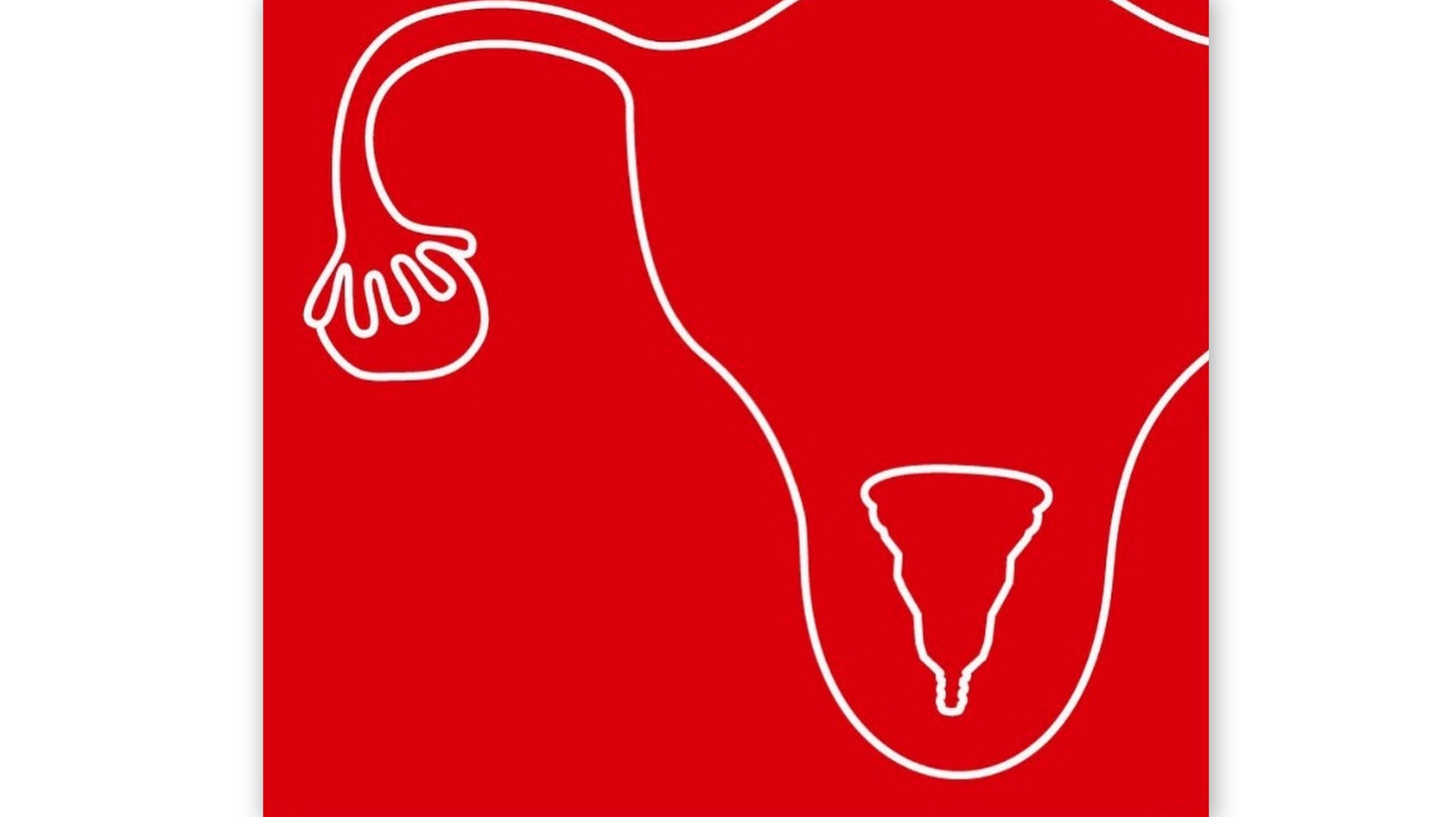 Институт цвета Pantone создал новый оттенок красного и назвал его «Менструация»