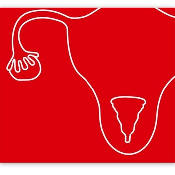 Институт цвета Pantone создал новый оттенок красного и назвал его «Менструация»