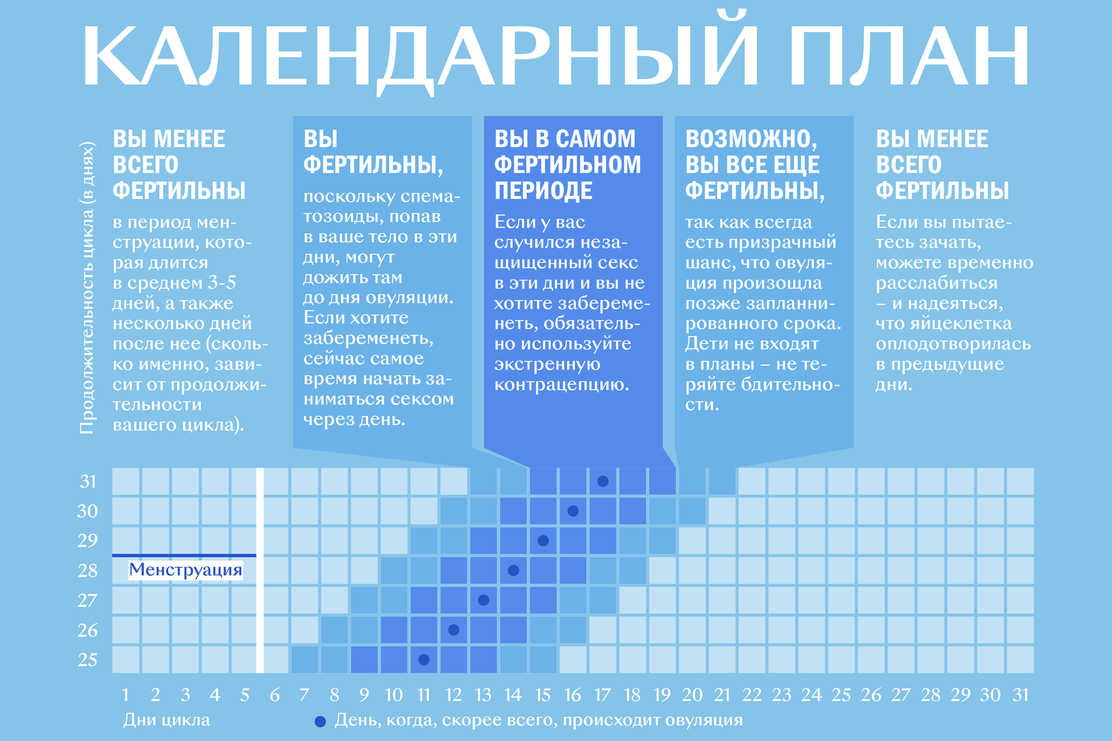 Чем отличается окно фертильности от овуляции