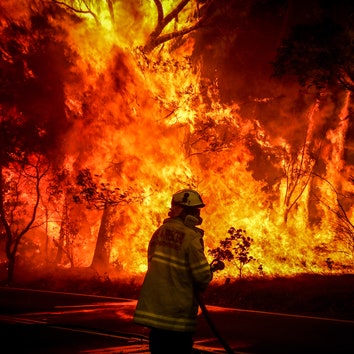 Пожары в Австралии достигли масштаба природной катастрофы