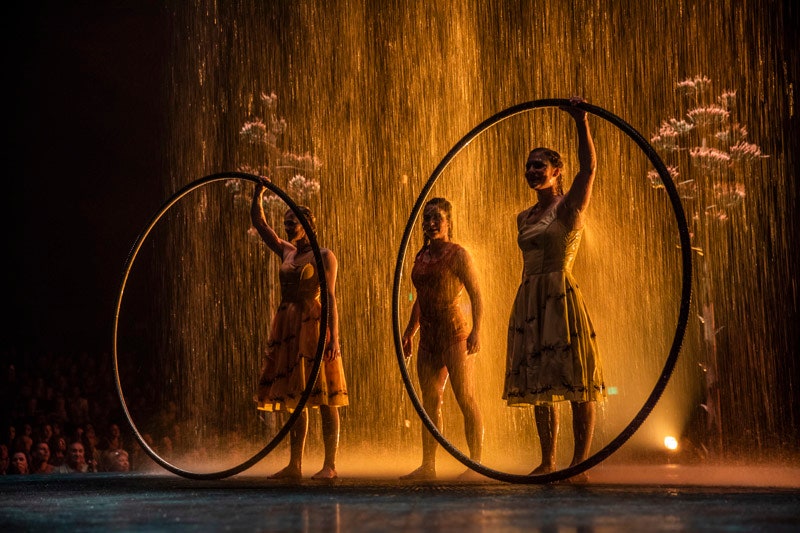3 причины сходить на новое шоу Luzia от Cirque du Soleil