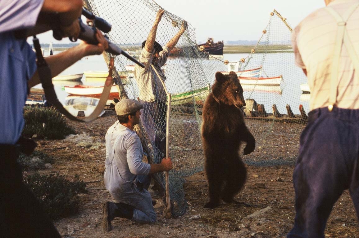 Кадр из фильма «Медвежий поцелуй» 2002 год