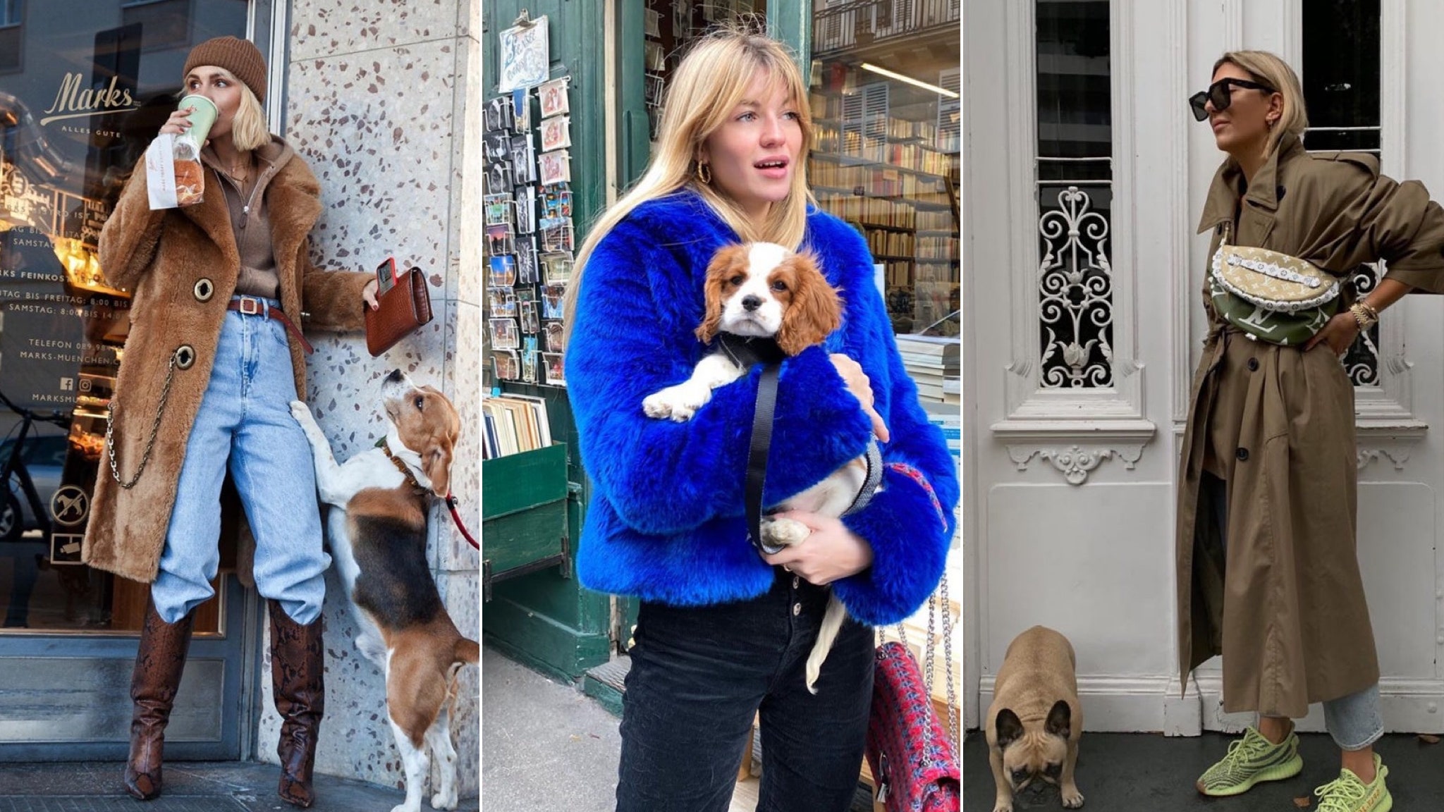 В чем знаменитости и блогеры выходят на прогулку с собакой