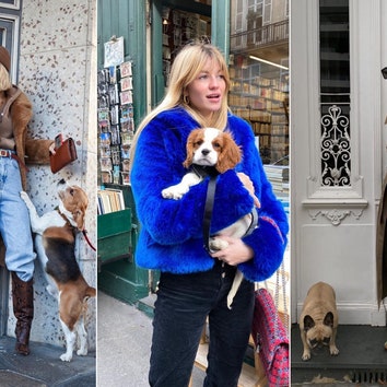 В чем знаменитости и блогеры выходят на прогулку с собакой