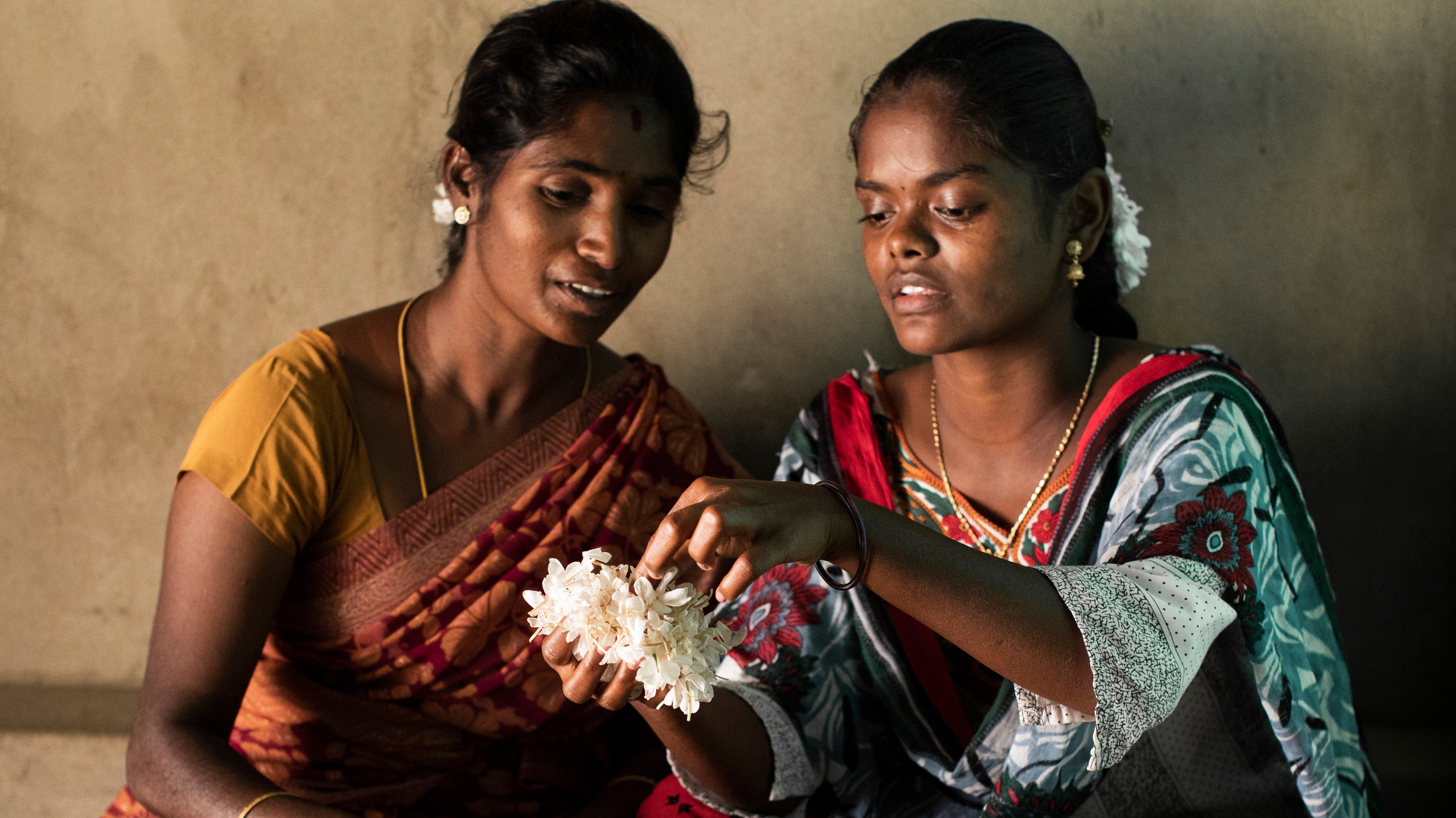 Жасмин для ароматов Bvlgari будет выращен на 100 семейных фермах в Индии