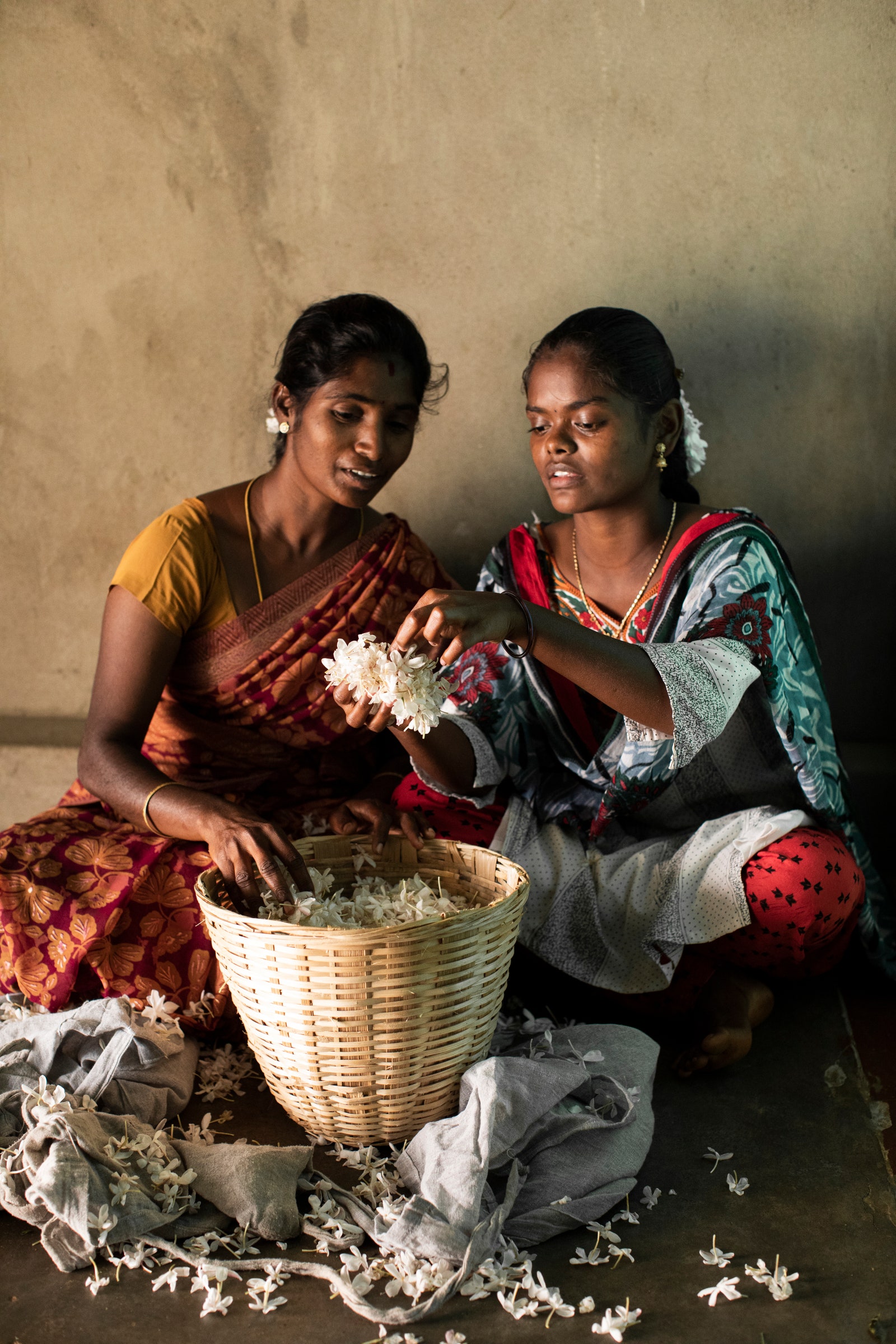 Жасмин для ароматов Bvlgari будет выращен на 100 семейных фермах в Индии