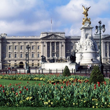 Вакансия в Букингемском дворце: королева Елизавета II ищет садовника (зарплата вас удивит)