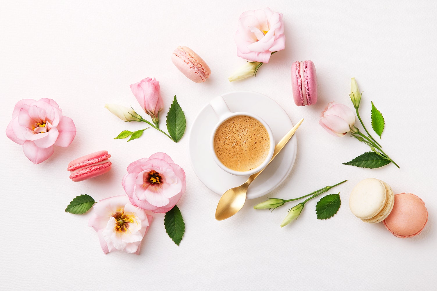 Новинки парфюмерии весны 2019 со съедобными ароматами фото описание