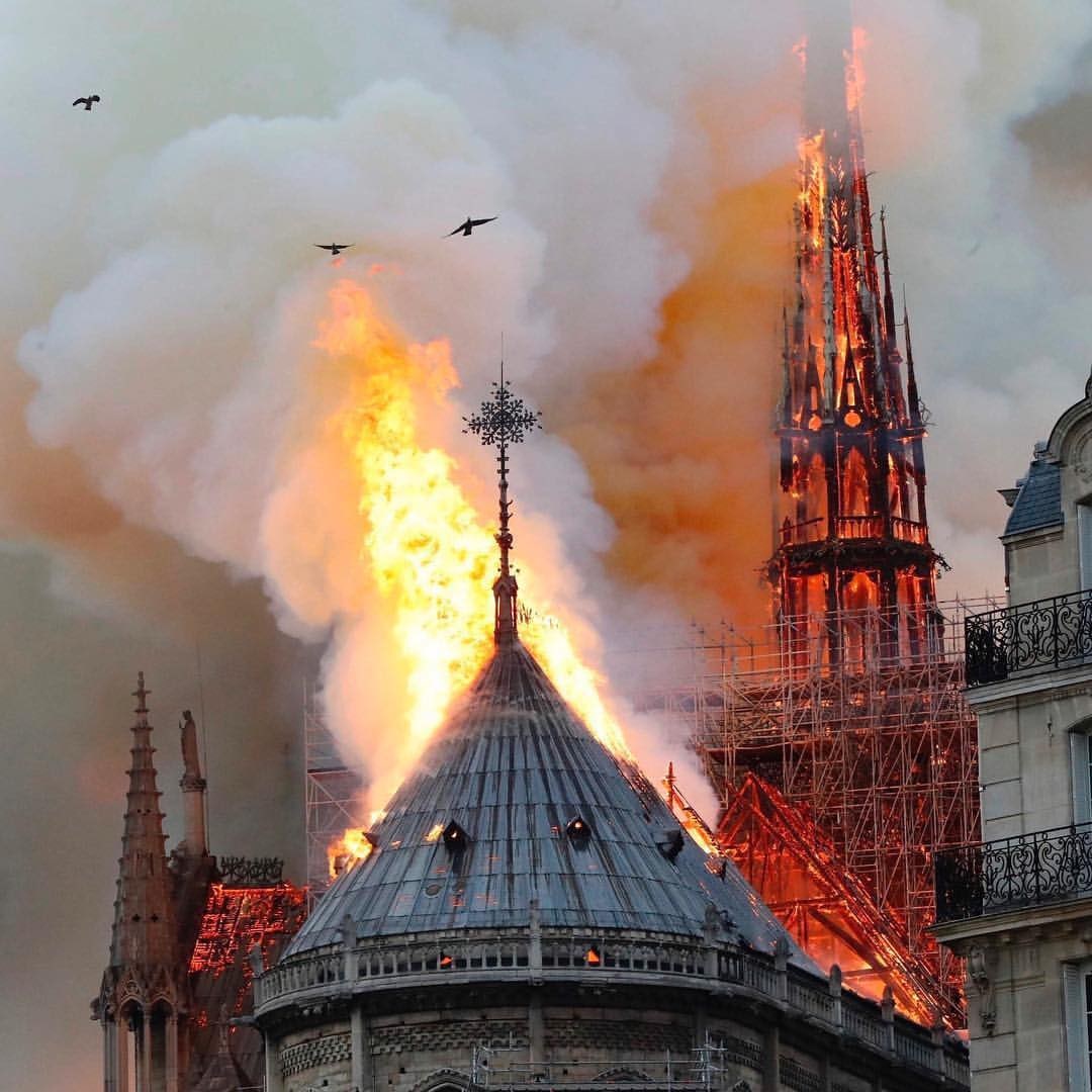 Собор Парижской Богоматери после пожара будет восстановлен подробности