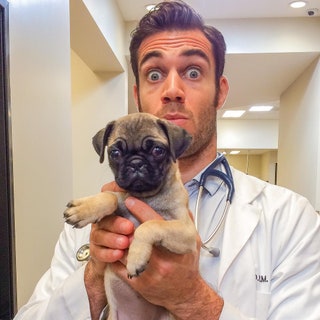 dr.evanantin.