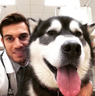 dr.evanantin.