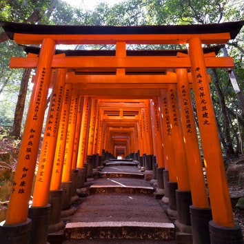 Япония: 6 необычных впечатлений из Страны восходящего солнца