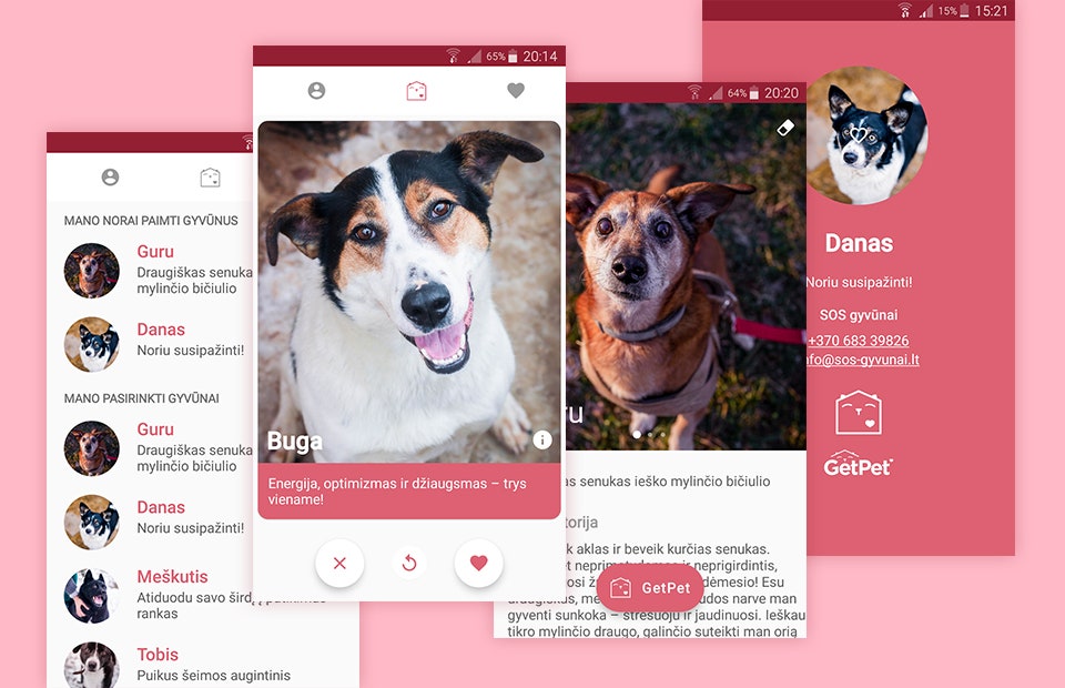 GetPet мобильное приложение для знакомств с животными из приюта