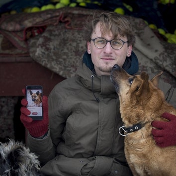 В Литве появилось приложение для знакомств с животными из приюта