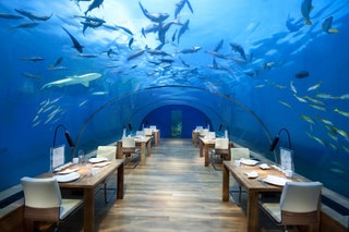 Ithaa Undersea Restaurant.