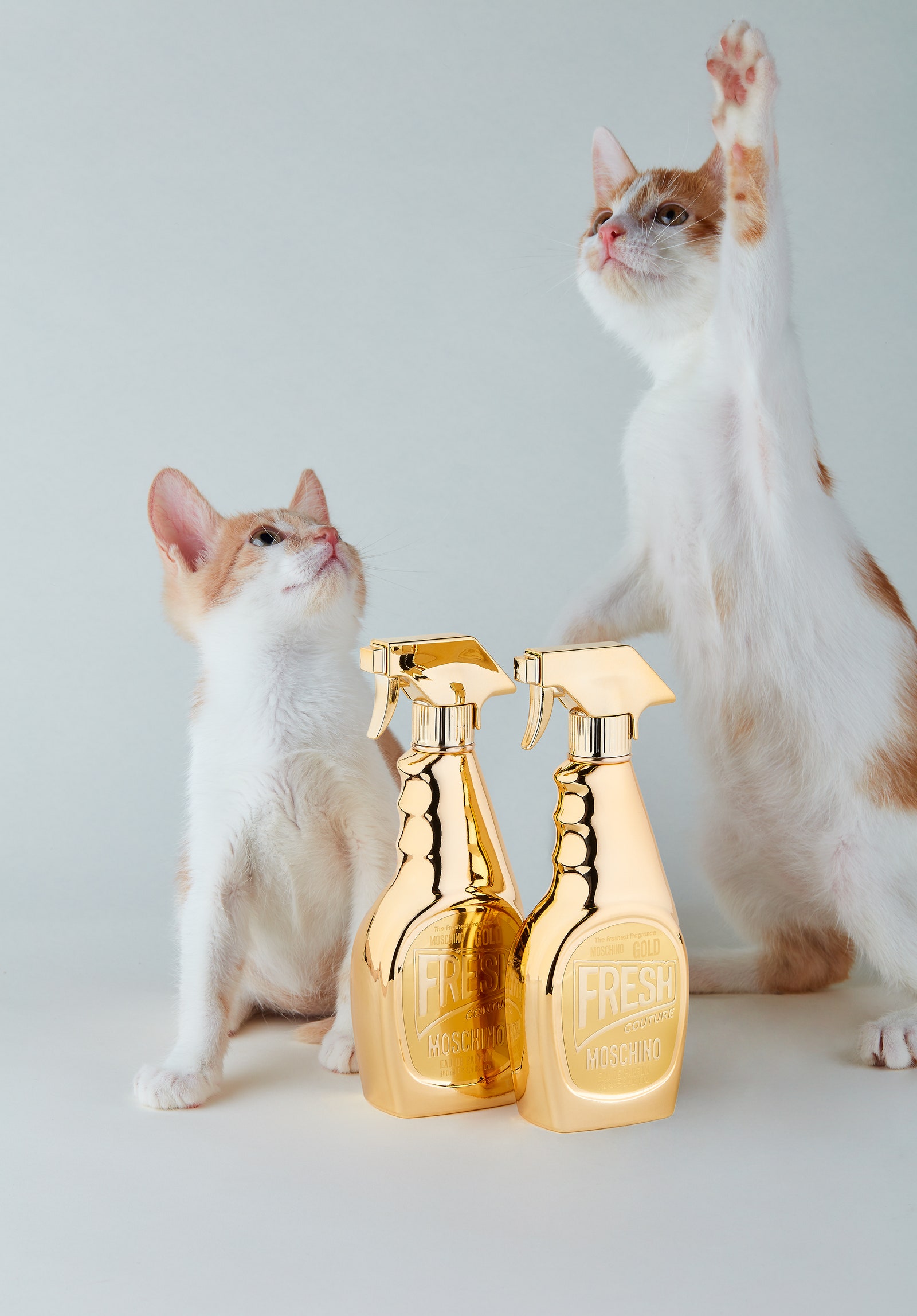 Туалетная вода Gold Fresh Couture с нотами мандарина жасмина и ванили 50 мл 5272 руб. Moschino.