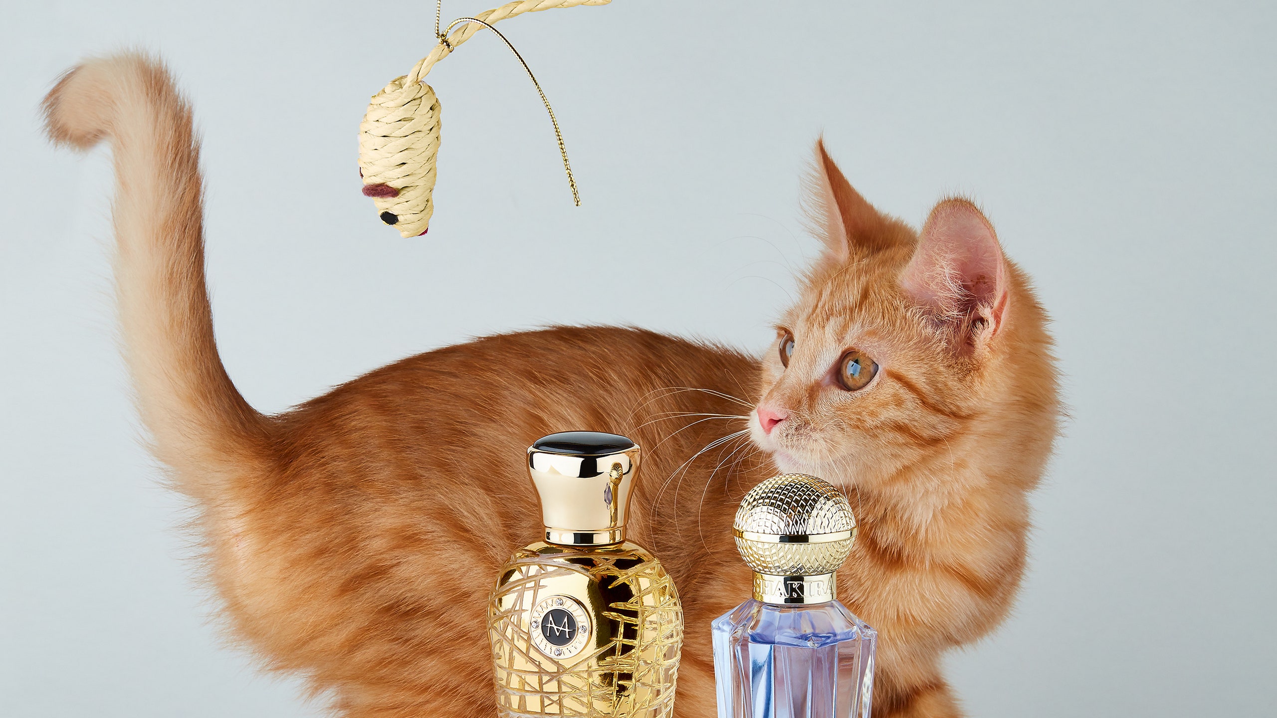 Ароматы в золотых флаконах Moschino Paco Rabanne Chanel