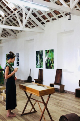 Плантация Roça Monte Café.
