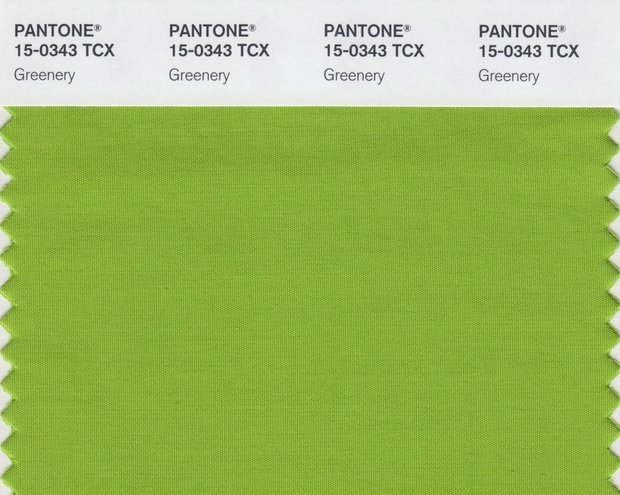 Назван любимый цвет всех людей  глубокий синезеленый оттенок Marrs Green