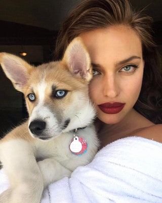 irinashayk.