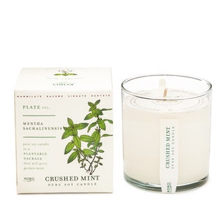 Свеча Crushed Mint с ароматом мяты и кедра 2800 руб. KOBO Candles .