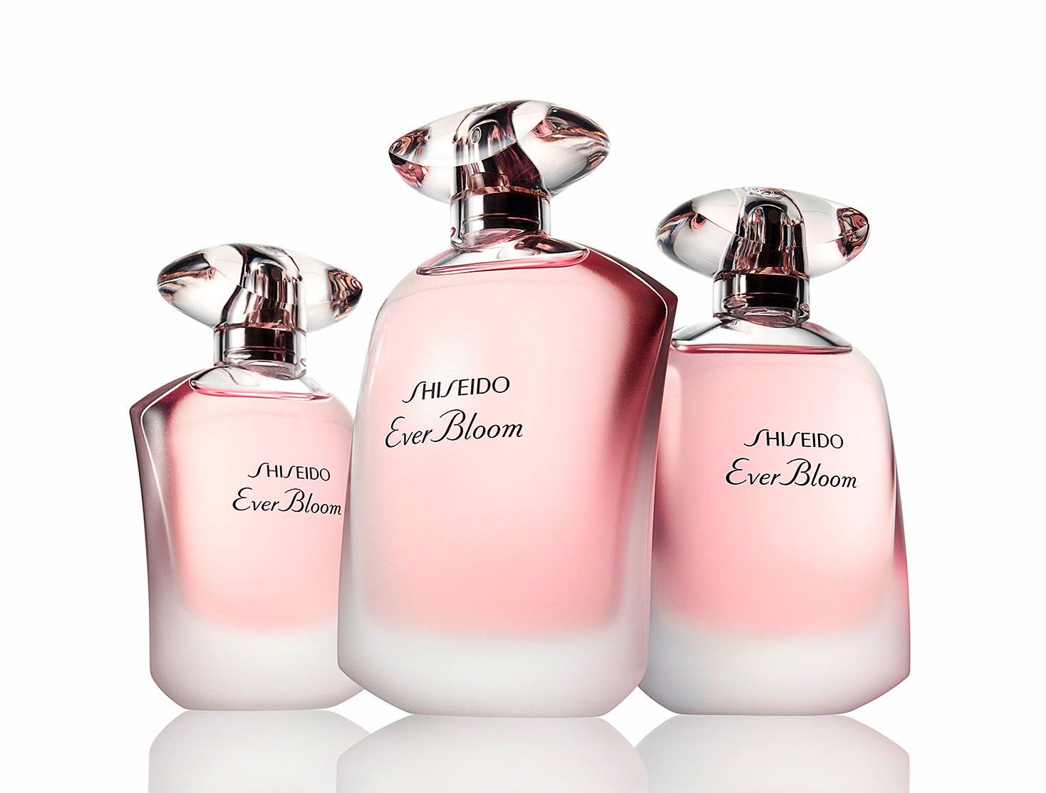 Shiseido аромат Ever Bloom EDT 3750 руб.  5450 руб. .