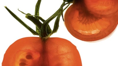 Как помидоры используют в косметологии экстракт томата  компонент косметических средств | Allure