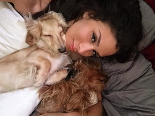 brittanyfurlan.