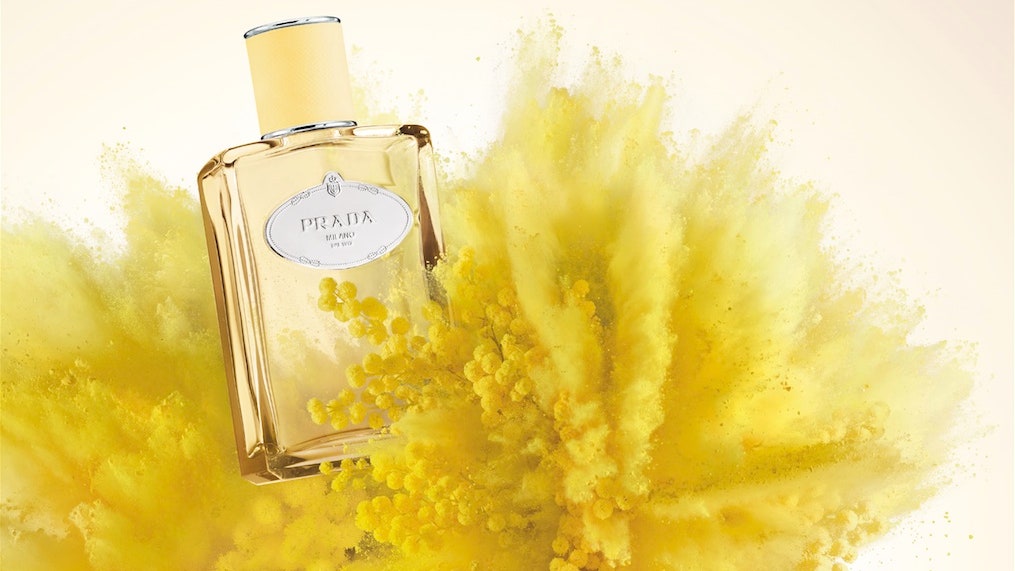 Желтый бархат новый аромат Mimosa Infusion от Prada