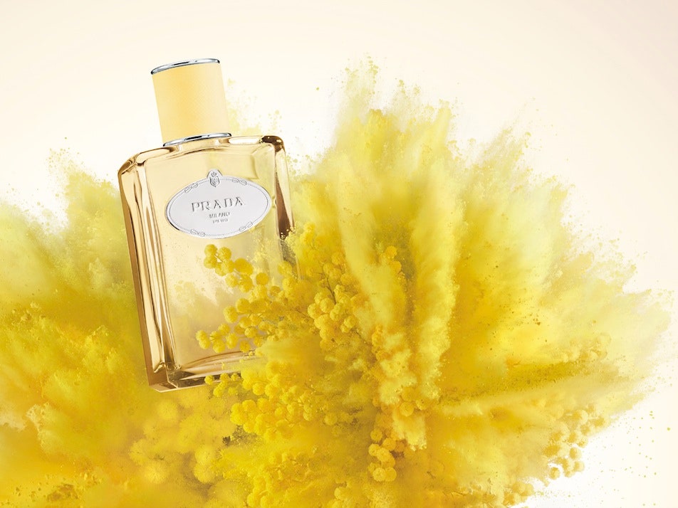 Желтый бархат: новый аромат Mimosa Infusion от Prada