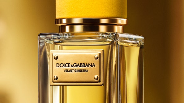 Золотая вуаль новый аромат Velvet Ginestra от Dolce  Gabbana
