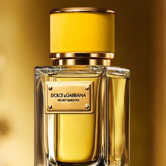 Золотая вуаль: новый аромат Velvet Ginestra от Dolce & Gabbana
