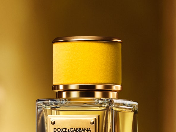 Золотая вуаль: новый аромат Velvet Ginestra от Dolce & Gabbana