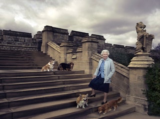 Королева Елизавета II с собаками