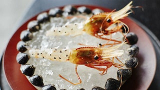 Живые креветки в popup ресторане Noma в Токио