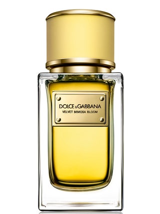 Dolce  Gabbana  парфюмерная вода Velvet Mimosa Bloom. Бархатная пушистая мимоза — с запахом фиалкового листа и нарцисса.