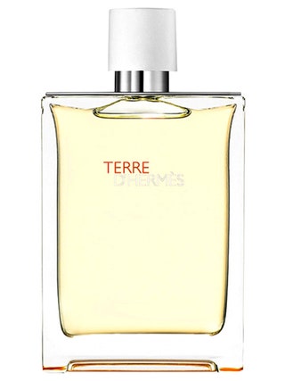 Аромат Terre dHermès Hermès.