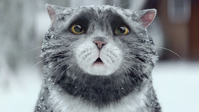 Рождественское видео Sainsbury's c неуклюжей кошкой стало хитом интернета