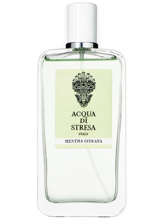 Acqua Di Stresa EDT Mentha Citrata 100 мл 5800 руб. Свежая мята свежий лимон  мохито для кожи.